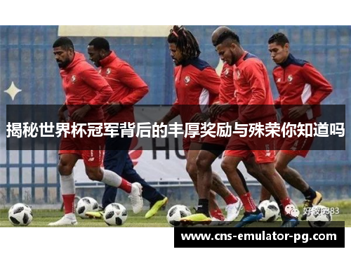 揭秘世界杯冠军背后的丰厚奖励与殊荣你知道吗