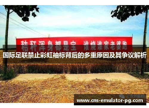 国际足联禁止彩虹袖标背后的多重原因及其争议解析