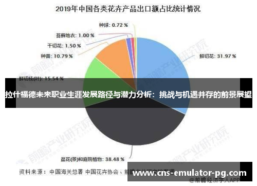 拉什福德未来职业生涯发展路径与潜力分析：挑战与机遇并存的前景展望