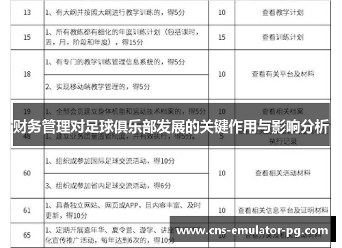财务管理对足球俱乐部发展的关键作用与影响分析 财务管理对足球俱乐部发展的关键作用与影响分析