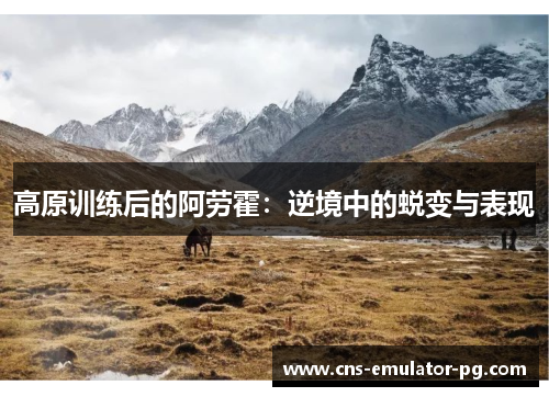高原训练后的阿劳霍:逆境中的蜕变与表现 高原训练后的阿劳霍:逆境中的蜕变与表现