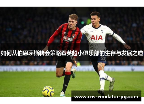 如何从伯恩茅斯转会策略看英超小俱乐部的生存与发展之道