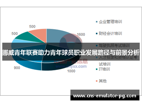 挪威青年联赛助力青年球员职业发展路径与前景分析